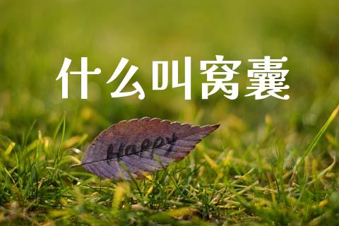 什么叫窝囊_https://www.fsyjjx.cn_期货研报_第1张