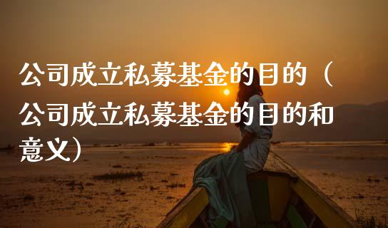 公司成立私募基金的目的（公司成立私募基金的目的和意义）_https://www.fsyjjx.cn_理财资讯_第1张