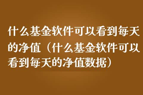什么基金软件可以看到每天的净值（什么基金软件可以看到每天的净值数据）_https://www.fsyjjx.cn_问财精选_第1张