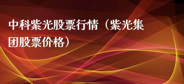 中科紫光股票行情（紫光集团股票价格）_https://www.fsyjjx.cn_股指期货_第1张