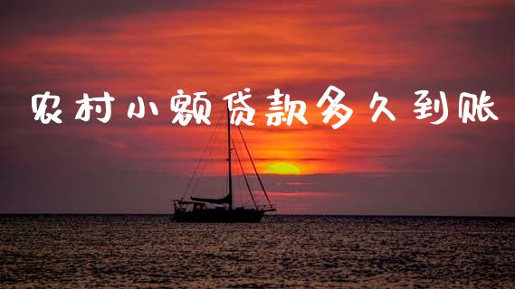 农村小额贷款多久到账_https://www.fsyjjx.cn_问财精选_第1张