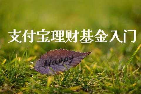 支付宝理财基金入门_https://www.fsyjjx.cn_问财精选_第1张