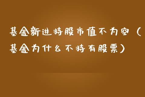 基金新进持股市值不为空（基金为什么不持有股票）_https://www.fsyjjx.cn_问财精选_第1张