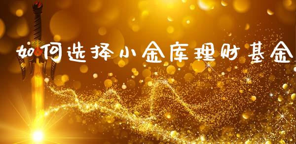 如何选择小金库理财基金_https://www.fsyjjx.cn_问财精选_第1张