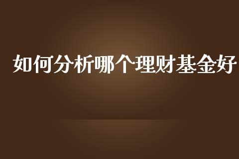 如何分析哪个理财基金好_https://www.fsyjjx.cn_问财精选_第1张