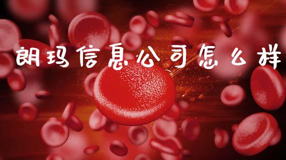 朗玛信息公司怎么样_https://www.fsyjjx.cn_理财资讯_第1张