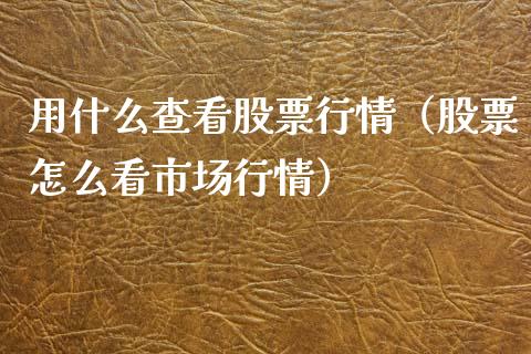 用什么查看股票行情（股票怎么看市场行情）_https://www.fsyjjx.cn_股票指导_第1张
