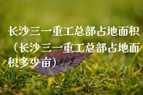 长沙三一重工总部占地面积（长沙三一重工总部占地面积多少亩）_https://www.fsyjjx.cn_股市分析_第1张