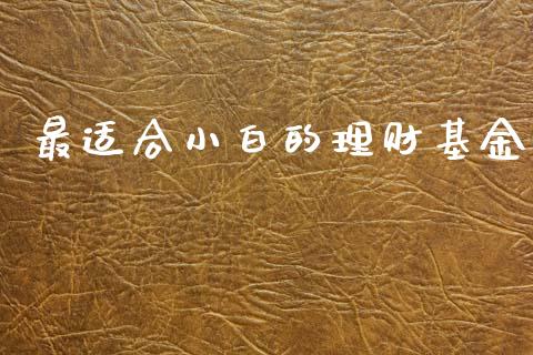 最适合小白的理财基金_https://www.fsyjjx.cn_问财精选_第1张