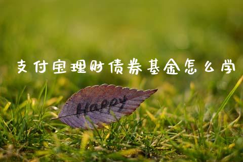 支付宝理财债券基金怎么学_https://www.fsyjjx.cn_理财资讯_第1张