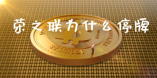 荣之联为什么停牌_https://www.fsyjjx.cn_问财精选_第1张
