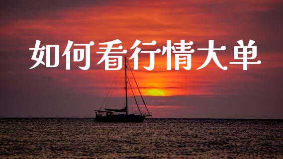 如何看行情大单_https://www.fsyjjx.cn_理财资讯_第1张