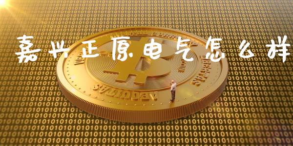 嘉兴正原电气怎么样_https://www.fsyjjx.cn_期货资讯_第1张