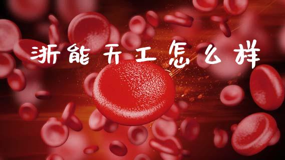 浙能天工怎么样_https://www.fsyjjx.cn_股指期货_第1张