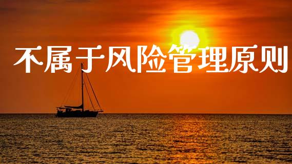 不属于风险管理原则_https://www.fsyjjx.cn_期货资讯_第1张