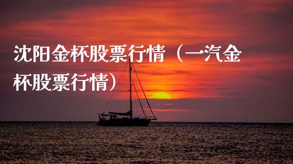 沈阳金杯股票行情（一汽金杯股票行情）_https://www.fsyjjx.cn_股指期货_第1张