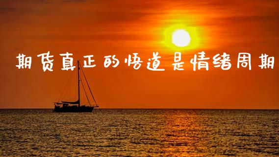 期货真正的悟道是情绪周期_https://www.fsyjjx.cn_期货资讯_第1张