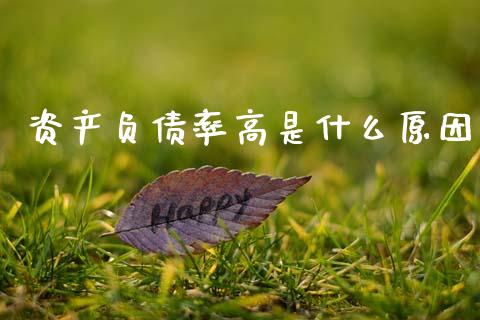 资产负债率高是什么原因_https://www.fsyjjx.cn_期货资讯_第1张