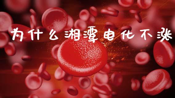 为什么湘潭电化不涨_https://www.fsyjjx.cn_理财资讯_第1张