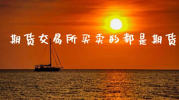 期货交易所买卖的都是期货_https://www.fsyjjx.cn_期货在线_第1张