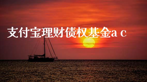 支付宝理财债权基金a c_https://www.fsyjjx.cn_问财精选_第1张