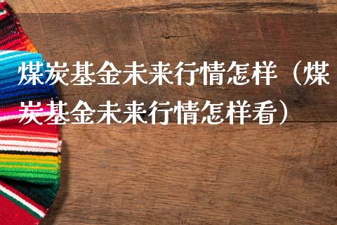 煤炭基金未来行情怎样（煤炭基金未来行情怎样看）_https://www.fsyjjx.cn_问财精选_第1张