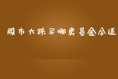股市大跌买哪类基金合适_https://www.fsyjjx.cn_理财资讯_第1张