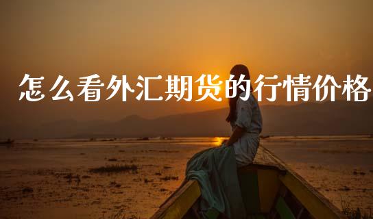 怎么看外汇期货的行情价格_https://www.fsyjjx.cn_期货研报_第1张