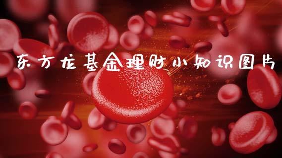 东方龙基金理财小知识图片_https://www.fsyjjx.cn_理财资讯_第1张
