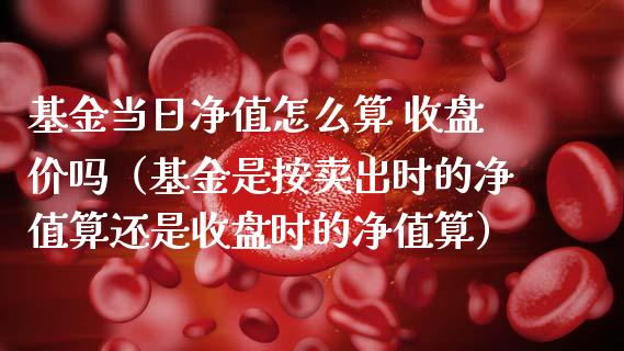 基金当日净值怎么算 收盘价吗（基金是按卖出时的净值算还是收盘时的净值算）_https://www.fsyjjx.cn_理财资讯_第1张