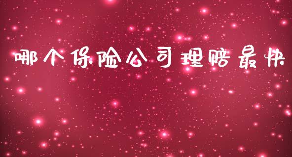 哪个保险公司理赔最快_https://www.fsyjjx.cn_期货研报_第1张