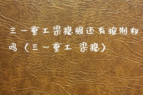 三一重工梁稳根还有控制权吗（三一重工 梁稳）_https://www.fsyjjx.cn_股市分析_第1张