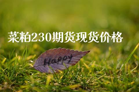 菜粕230期货现货价格_https://www.fsyjjx.cn_期货研报_第1张