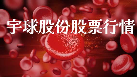 宇球股份股票行情_https://www.fsyjjx.cn_股市分析_第1张