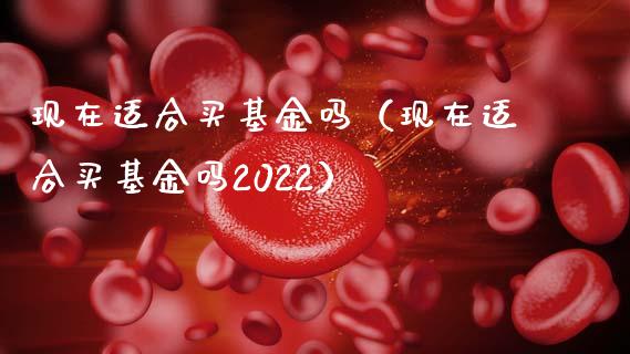 现在适合买基金吗（现在适合买基金吗2022）_https://www.fsyjjx.cn_理财资讯_第1张