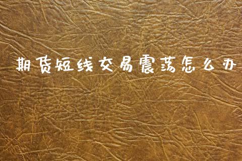 期货短线交易震荡怎么办_https://www.fsyjjx.cn_股票指导_第1张