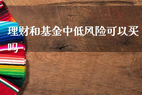 理财和基金中低风险可以买吗_https://www.fsyjjx.cn_问财精选_第1张