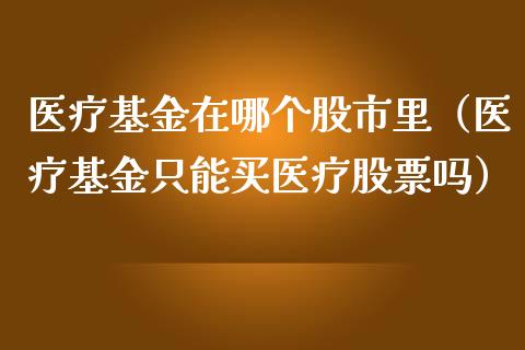 医疗基金在哪个股市里（医疗基金只能买医疗股票吗）_https://www.fsyjjx.cn_理财资讯_第1张
