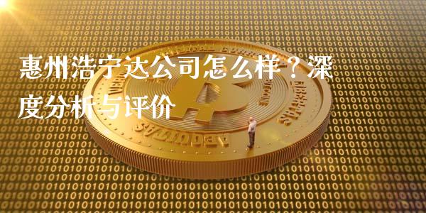 惠州浩宁达公司怎么样？深度分析与评价_https://www.fsyjjx.cn_期货研报_第1张