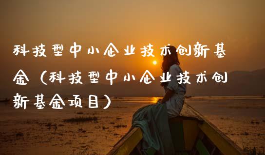 科技型中小企业技术创新基金（科技型中小企业技术创新基金项目）_https://www.fsyjjx.cn_理财资讯_第1张