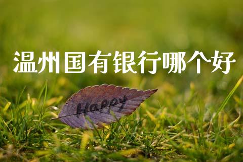 温州国有银行哪个好_https://www.fsyjjx.cn_股市分析_第1张