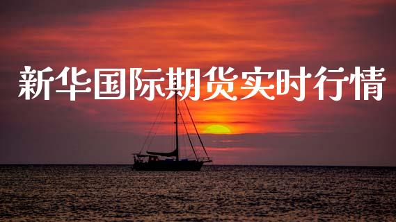 新华国际期货实时行情_https://www.fsyjjx.cn_期货研报_第1张