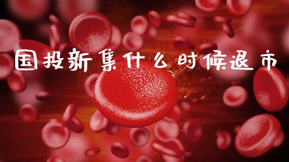 国投新集什么时候退市_https://www.fsyjjx.cn_理财资讯_第1张