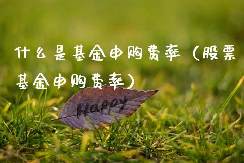 什么是基金申购费率（股票基金申购费率）_https://www.fsyjjx.cn_理财资讯_第1张