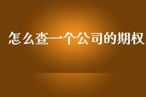 怎么查一个公司的期权_https://www.fsyjjx.cn_期货在线_第1张