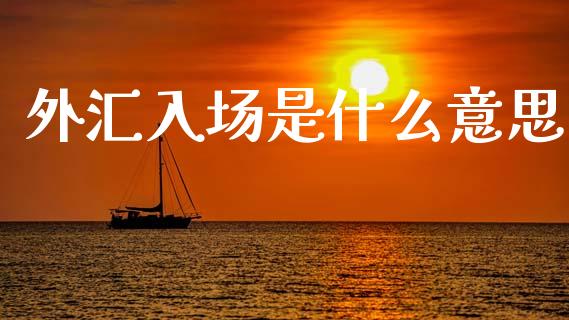 外汇入场是什么意思_https://www.fsyjjx.cn_股票指导_第1张