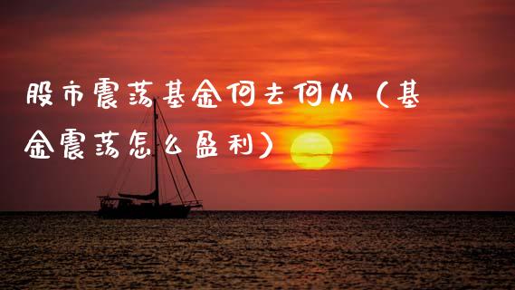 股市震荡基金何去何从（基金震荡怎么盈利）_https://www.fsyjjx.cn_理财资讯_第1张