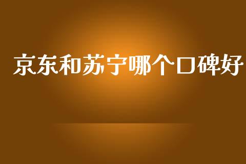 京东和苏宁哪个口碑好_https://www.fsyjjx.cn_股市分析_第1张