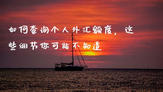 如何查询个人外汇额度，这些细节你可能不知道_https://www.fsyjjx.cn_期货在线_第1张