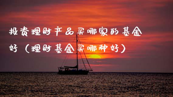投资理财产品买哪家的基金好（理财基金买哪种好）_https://www.fsyjjx.cn_理财资讯_第1张